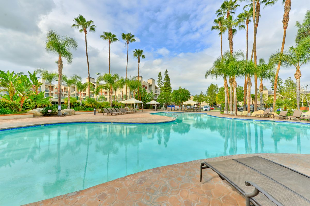 The Met Warner Center resort-style pool with palm trees — Woodland Hills